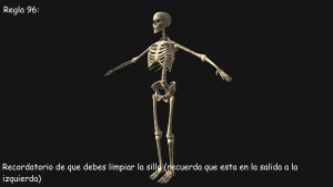 Regla 96.png