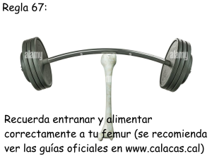 Regla 67.png