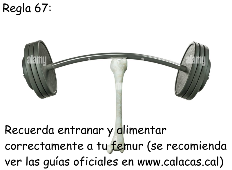 File:Regla 67.png
