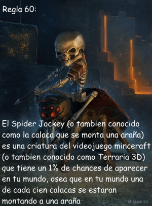Regla 60.png