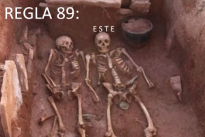REGLA 89.png