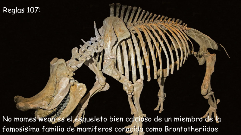 File:Regla 107.png