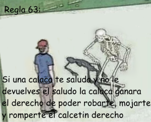 Regla 63.png