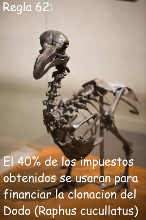 Regla 62.png