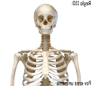 Regla 110.png