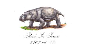 TributoASinokameyeriaPortada.jpg