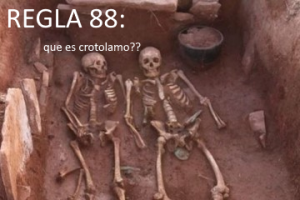 Regla 88.png