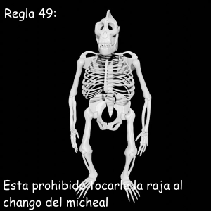 Regla 49.png